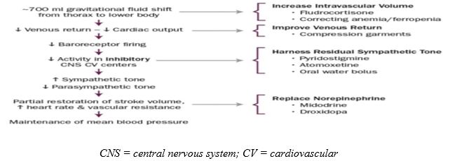 Hypotensive Disease